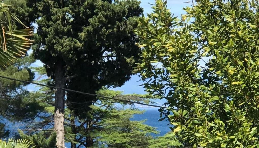 Apartment Aquamarin, Blizu Mora S Pogledom Na More, Za Do 6 Osoba Malinska Eksteriør bilde